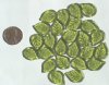 25 18x13mm Olive Leaves